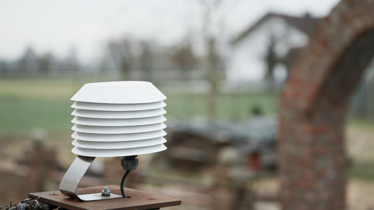 kuenstliche-oder-menschliche-nase:-welche-ist-besser?