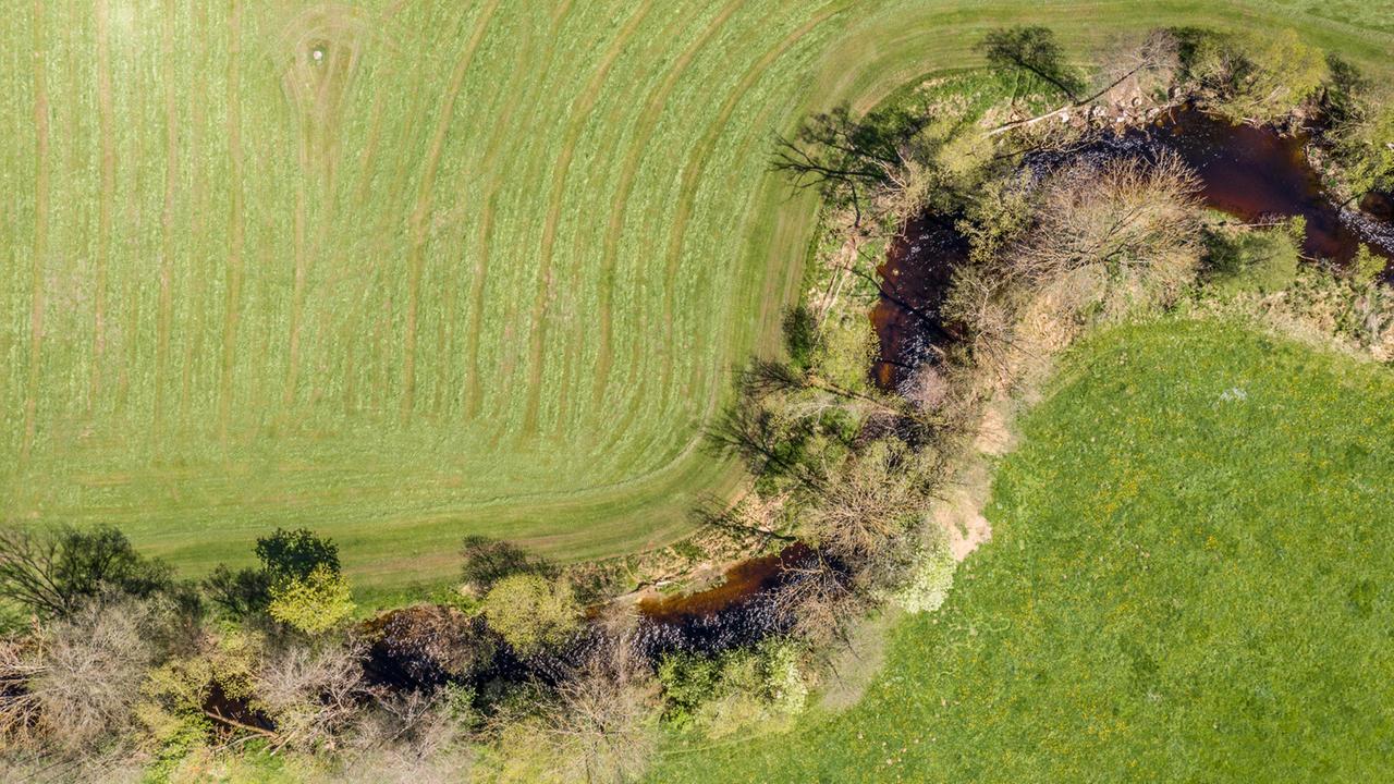 pestizide-in-baechen-gefaehrden-artenvielfalt